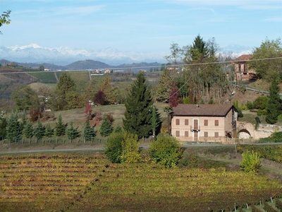 Vendita Rustico casale, in zona FIRANO, SAN MARTINO ALFIERI