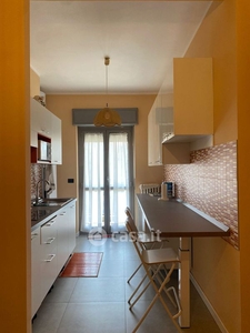 Appartamento in Affitto in Corso Brianza a Torino