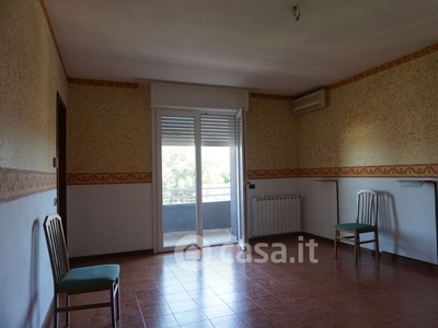 Appartamento in Affitto in Via A. Baraldini a San Felice sul Panaro