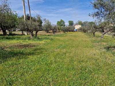 Terreno Edificabile Residenziale in vendita a Rosciano