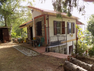 Vendita Baita/Chalet/Trullo in Borgomaro