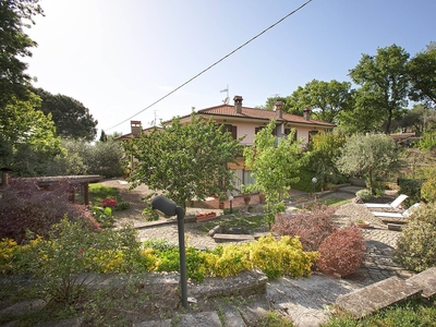 Villa bifamiliare in vendita a Viterbo - Zona: San Martino al Cimino