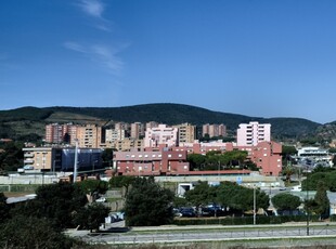 Affitto Appartamento in PIOMBINO