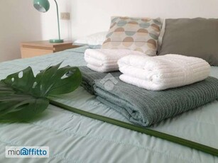 Appartamento arredato con terrazzo Celadina, boccaleone, malpensata, campagnola