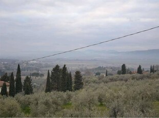 Appartamento in affitto a Lucignano