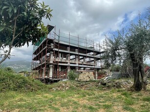 Casa indipendente con giardino a Massa