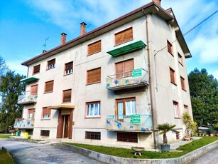 Luminoso bicamere più miniappartamento con cantine e garage Spilimbergo