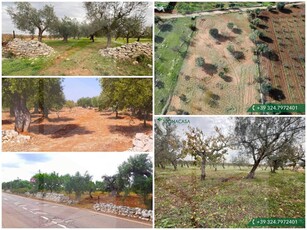 Terreno agricolo in vendita a Conversano