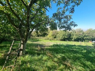 Terreno agricolo in vendita a Grottaferrata