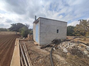 Terreno agricolo in vendita a Mola Di Bari