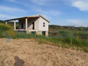 Terreno agricolo in vendita a Monte Romano