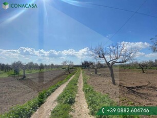 Terreno agricolo in vendita a San Severo