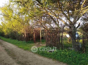 Terreno agricolo in Vendita in Località Pintoreddu a Sestu