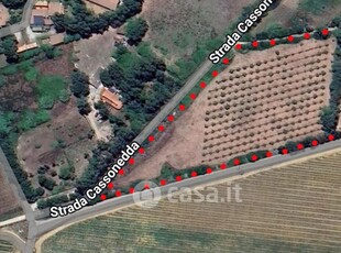 Terreno agricolo in Vendita in Strada Cassonedda a Olmedo