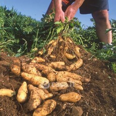 Terreno agricolo in Vendita in Via Eugenio Montale 50 a Cesano Maderno