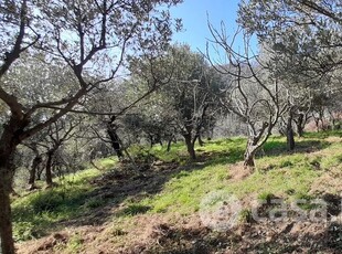 Terreno agricolo in Vendita in Via Giovanni Trossarelli 132 a Genova