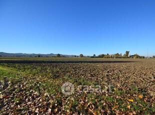 Terreno agricolo in Vendita in Via Masini a Zola Predosa