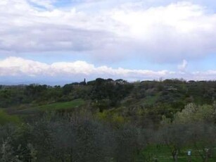 Terreno agricolo in Vendita in Via Poggio Pini a Empoli