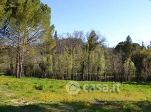 Terreno agricolo in Vendita in Via Provinciale a Scarperia e San Piero