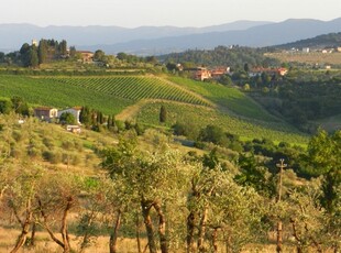 Vendita Rustico/Casale/Corte in Vicchio