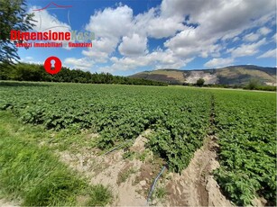 Vendita Terreno Agricolo Acerra