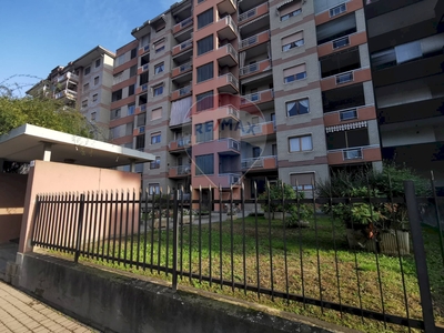Affitto Appartamento Viale Ottavio Marchino, Casale Monferrato