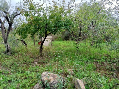 Terreno in vendita a Monreale