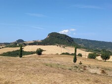 Azienda Agricola in vendita a Volterra