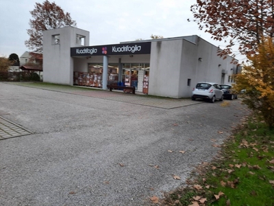 Profumeria e cosmetica in in vendita da privato a San Giorgio delle Pertiche via Margarise, 12 bis