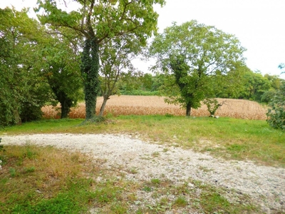 Terreno Agricolo in vendita a Lazise strada della Sabbionara