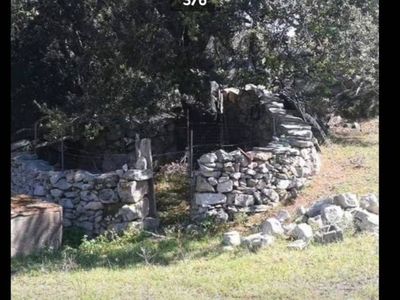 Terreno Agricolo in vendita ad Arzachena circonvallazione Arzachena