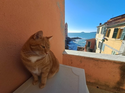 Appartamento in vendita a Lerici La Spezia Tellaro