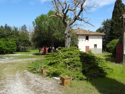 rustico / casale in vendita a Empoli