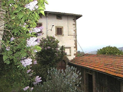 Rustico, via Vigna, Pratovecchio Stia