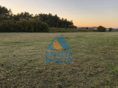 Terreno Agricolo in Vendita a Empoli