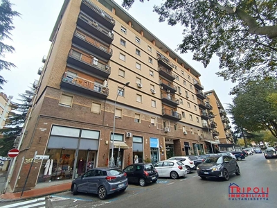 Appartamento in Vendita a Caltanissetta viale della regione