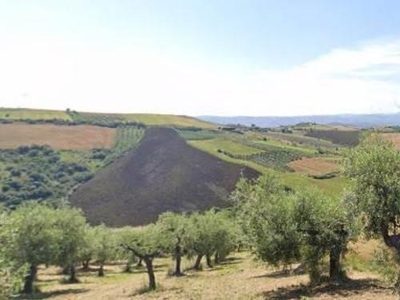 Terreno agricolo in vendita a Castel Frentano