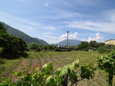 Terreno Agricolo in vendita a Castel San Giorgio