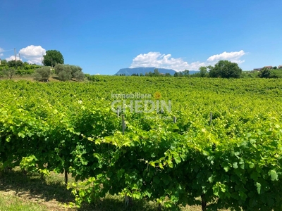 Terreno agricolo in vendita a Susegana