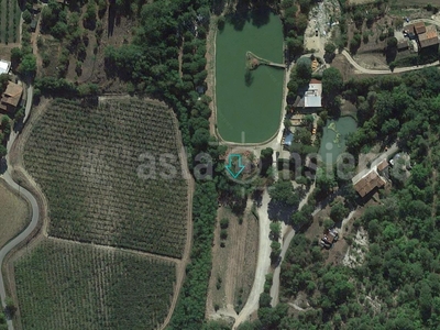 Terreno Agricolo in vendita a Vicchio