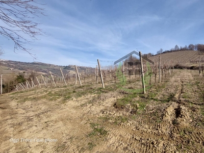 Terreno in vendita a Ripatransone