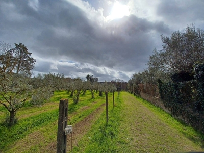 Terreno in vendita a Castel Gandolfo