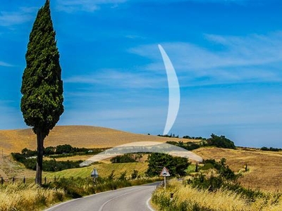 Azienda Agricola in Vendita a Murlo