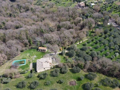Ancient Farm Of 1800 In Sarteano