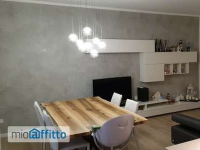 Appartamento arredato con terrazzo Saletto san bartolomeo