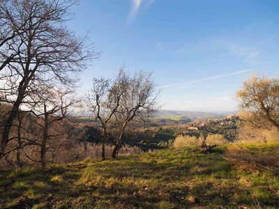 Terreno Edificabile in Vendita a Arcidosso, Toscana - Opportunità Unica per Investimento Immobiliare