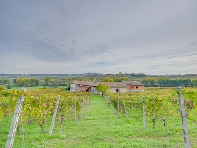 Beautiful And Traditional Country House With Vineyards In Agliano Terme 922