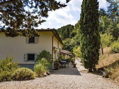 Casale/Borgo In Vendita A Montevarchi
