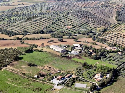 In Vendita: Azienda Agricola sulle Colline di Orbetello con Casa Padronale e Terreno