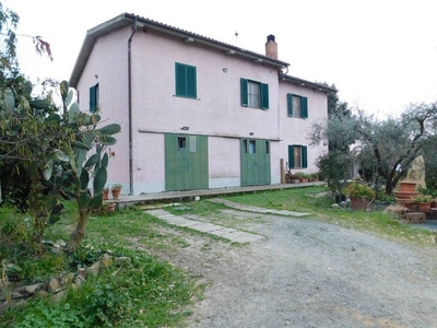 In Vendita: Azienda Agricola con Casale e Terreno a Castiglione della Pescaia, Toscana